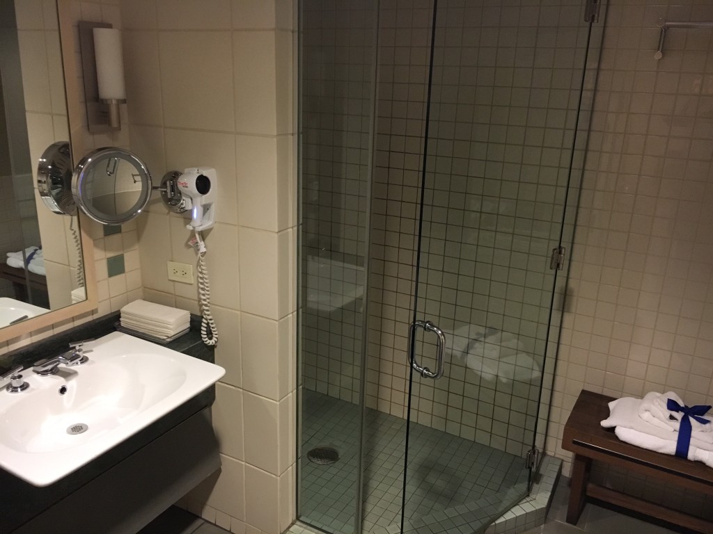 Shower at JFK Admirals Club